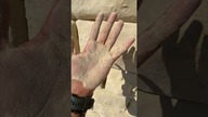When its 35°C and You have PULL DAY
