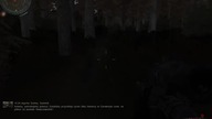 Zagrajmy w S. T. A. L. K. E. R. :Call of Chernobyl#19-Łażenie po Czerwonym Lesie i Leśnik.