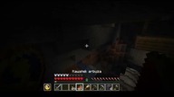 A moderately stable place to place a torch #minecraft #gaming #game #funny #Short #Shorts