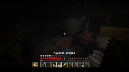 A moderately stable place to place a torch #minecraft #gaming #game #funny #Short #Shorts