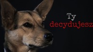 Ty decydujesz które zjesz, a które pokochasz