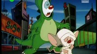 Pinky i Mózg S01E03 - Terror w Tokio/Mądra mysz/Mózgu pień (LEKTOR)