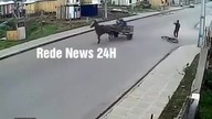 Potrącenie przez dwa mustangi