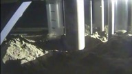 Ryba żyjąca na głębokości 8143 metr&oacute;w