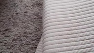 Luna Playin Hide n Seek 