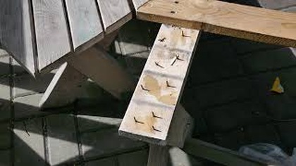 Wandalizm w sercu parku.  Zamiast wspólnej przestrzeni  zniszczenia