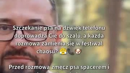 Cichy pies, spokojna rozmowa!  #Czworonogi #Pies #ZabawyZpsem