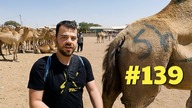 #139 Przez Świat na Fazie - Witam w Somalilandzie | SOMALIA |