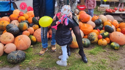 DZIEŃ Z NAMI I FARMA DYŃ W LUBLINIE