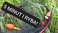 311 SKUTECZNE I MEGA PROSTE ŁOWIENIE DUŻYCH RYB - ZAŁÓŻ... !