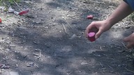 EXPERIMENT FIDGET SPINNER & Sparklers