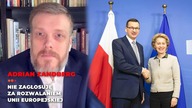 ZANDBERG: Nie zagłosuję za rozwaleniem Unii Europejskiej