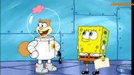 NICKELODEON - 26-07-2022 - Zapowiedzi, Reklama
