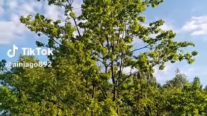 ostatnie pokolenie lewaki zieloni czasskowski psychopaci wypad na Berlin