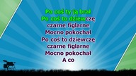 Gdybym miał gitarę - z linią melodyczną ( karaoke )