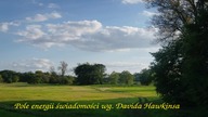 Pole energii świadomości wg Davida Hawkinsa