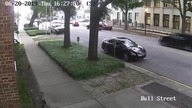 LiveLeak - Man walks away after tree falls on car