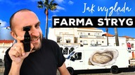 Jak wygląda FARMA OSTRYG  