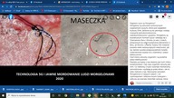 Robale Mogoleony cała prawda.  Śmierć w nas.