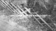 Another Day In Paradise - Phil Collins | AsineD (cover)