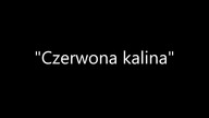 Czerwona Kalina