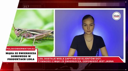 Mąka ze świerszcza w produktach z Lidla.  Doniesienia z Niemiec