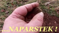 Wiosenne Wykopki z Jurnym_SZKOCJA
