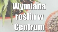 Lublin: Wymiana roślin w Centrum Kultury