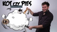 PIES CZY KOT? | Poszukiwacz #460