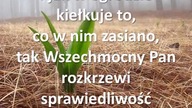 Robert - świadectwo