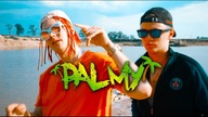 MALCZYŃSCY - Palmy (prod. jozee)