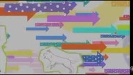 Gabriel DropOut op (my favorite part)