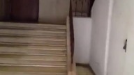 Szef jest tylko jeden