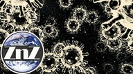 Nowy chińsko-afrykański szczep koronawirusa może wywołać kolejną globalną pandemię