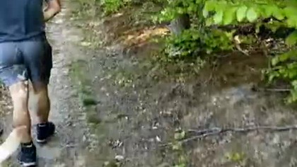 Majówkowy spacer po Lesie! Rubik, Sharp i Sarmata w lesie! Wędrówka, dyskusja, pogadanka, Q&A! Pies!