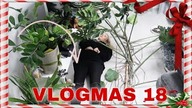 GIGANT MONSTERA / LUMPEKSY / VLOGMAS 18