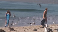 Plażowy wkręt z mewami