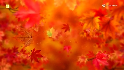 STUDIOMEDTV - ??-10-2025 - Ogłoszenie nadawcy, Reklamy, Ident