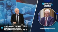 Gowin o tłustych kotach.  Roiło się od prezesów spółek Skarbu Państwa.  Obiecywali posłom pomoc