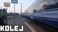LINIA KOLEJOWA 207 I INNE - CAŁA PRAWDA [REUPLOAD]