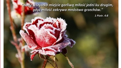 GET-03 Dotknięty Bożą miłością