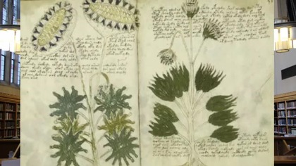 Tajemnica Średniowiecza.  Dlaczego NIKT nie może złamać Kodu Manuskryptu Wojnicza?