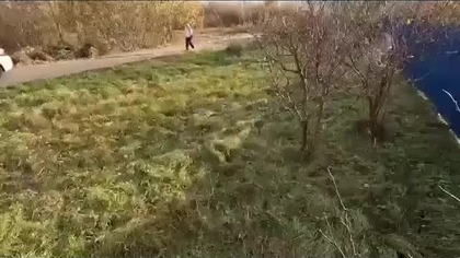 Banderowcy w akcji tak działają ŚCIERWA