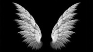 41234190044-offset-13802