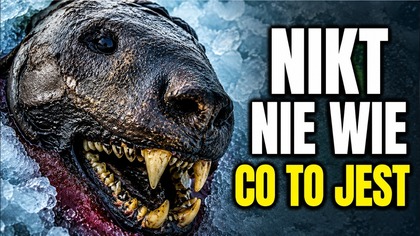 PREHISTORYCZNE Zwierzę Znalezione w Lodzie i NIKT NIE WIE CO TO JEST