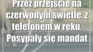 Przez przejście na czerwonym świetle, z telefonem w ręku.  Posypały się mandaty