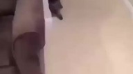 Kotek jebnol litra