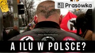W Niemczech jest 24 tys.  neonazistów | Przegląd idei #28 (08. 08. 2022)
