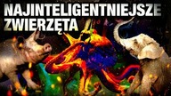 10 NAJINTELIGENTNIEJSZYCH ZWIERZAT