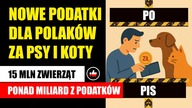 Nowe podatki dla Polaków za Psy i Koty | 15 MLN zwierząt  ponad MILIARD z podatków